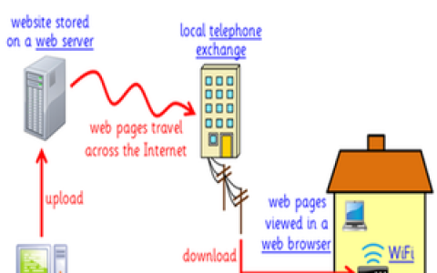 什么是万维网？