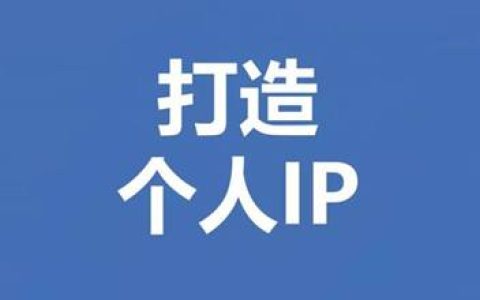 互联网小白打造个人IP实操指南 教你怎样打造出个人IP。
