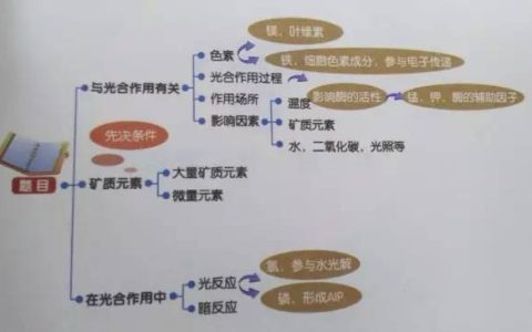 关键词排名用思维导图怎么写