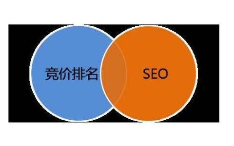 SEO新手需要学习的基础优化知识