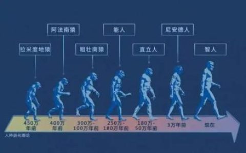 大家知道人类从何而来吗