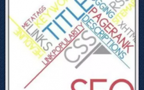 网站饱和度建造以及数据剖析。