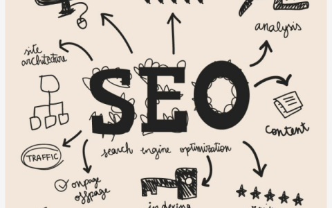 如何选择靠谱的SEO优化公司。