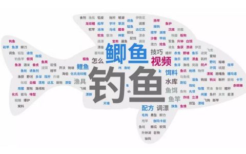 网站优化知识。