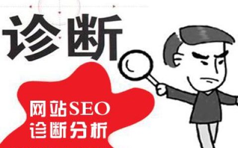 网站如何做SEO诊断。