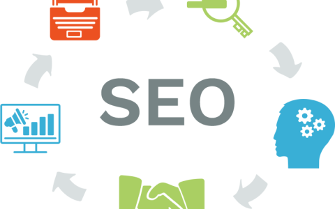 SEO优化见效为何这么慢。