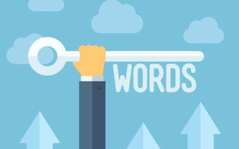 掌握关键词稳排首页的手段。