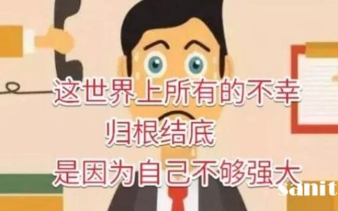 SEO排名优化没有狼性怎么上百度首页。