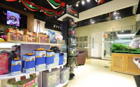 这家宠物店老板太会做生意，开业一个月暴赚百万，每天生意火爆