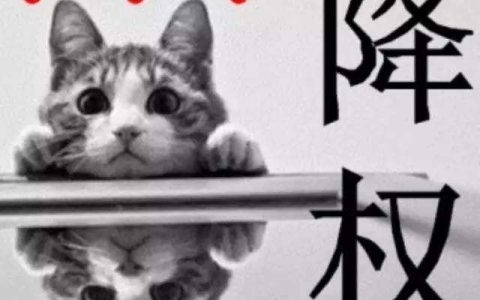 网站怎样防止在优化中被降权。