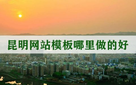 网站模板哪里做的好。