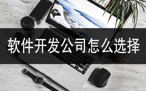 哪个软件公司好。