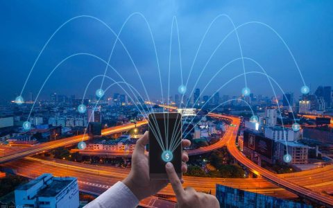 了解网络营销的特点（网络营销特点）