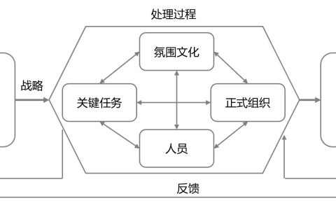IPD变革六步法：基于BLM的调研诊断五星模型（市场调研方法）