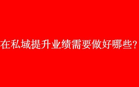骆艺：在私域提升业绩需要做好哪些（针对销售业绩提升方案名称）