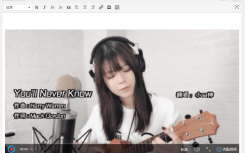 WordPress插入国内第三方视频的方法(优酷、腾讯视频等)。