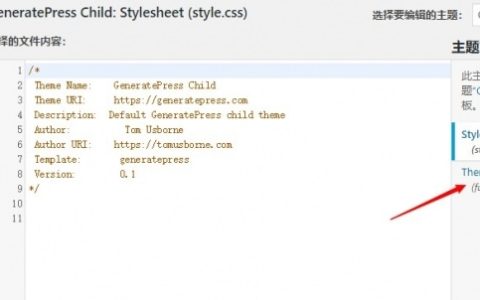 WordPress修改functions.php教程。