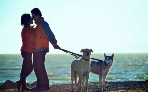 分享创业适合做什么，创业者不同适合的项目不同。