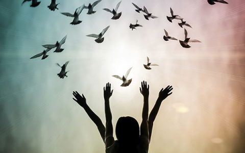 小编教你创业计划书范文分享，其内容应包含哪些方面。