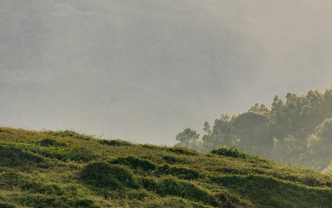 小编分享农村创业致富项目有哪些，适合农村的致富小项目。