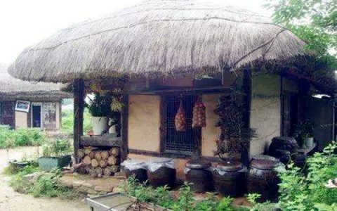 我来分享农村最缺什么市场，农村创业的话有什么选择。