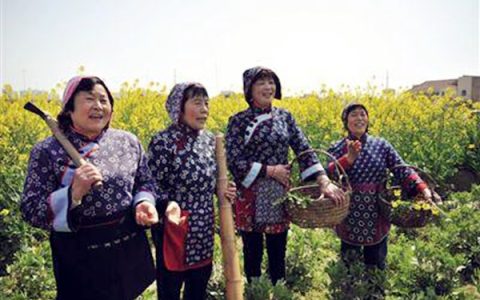 分享下乡卖什么东西销路好，乡镇什么市场是空白的。