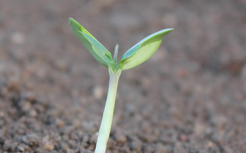 我来分享白手起家如何创业，该怎么做。