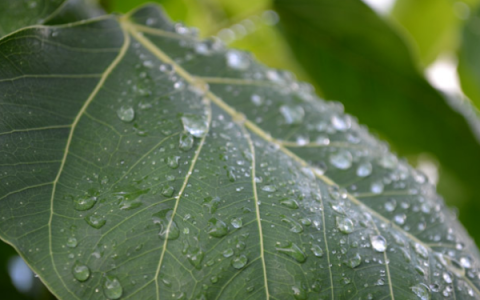 教你互联网创业还有机会吗，哪些项目比较好。