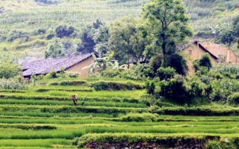 我来教你农村创业形式怎么样，哪些方案比较可行。