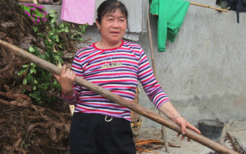 我来分享农村家庭主妇创业做什么好，这四个项目可以考虑。