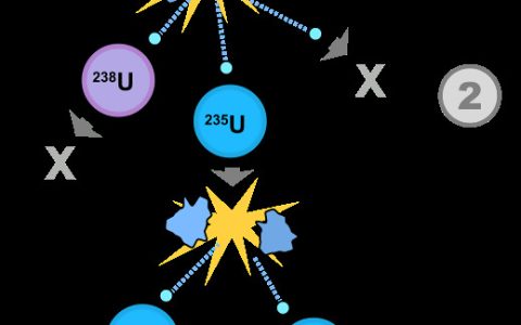 我来分享用户裂变的底层逻辑是什么。