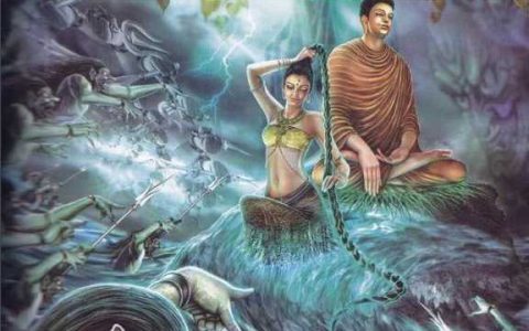 我来分享微信公众号如何裂变（如何快速增加粉丝？）