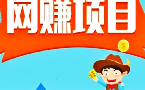 我来分享2020网上最靠谱最赚钱的项目有哪些，月入过万的暴利网赚项目。