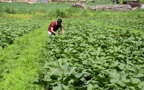 教你马云说农村干什么挣钱，做什么生意好。