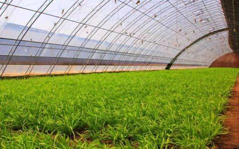 我来教你一个人在家创业的好项目有哪些，哪些更容易来钱。