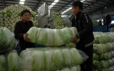 我来分享蔬菜批发新手如何进货，进货技巧。