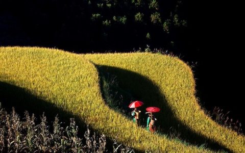 教你国内旅游景区现状及创新营销模式浅析 – 旅游圈。