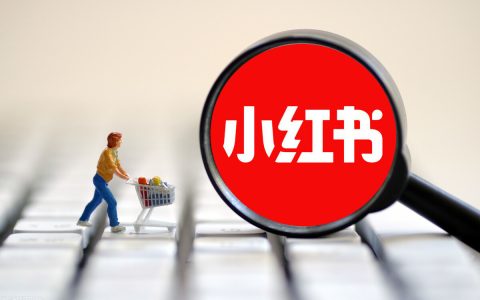 我来教你小红书都有哪些运营模式。