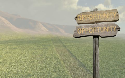 我来分享网上怎么开店。