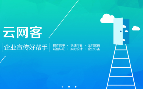 我来分享什么是网络营销分析。