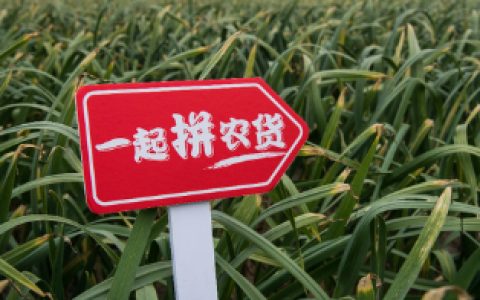 教你80后如何创业。