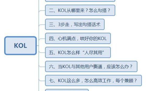 小编教你怎样做好kol运营。