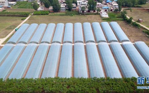 我来教你大学生返乡如何创业。