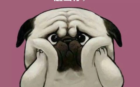 采集被惩罚，原创没思路...SEO文章怎么写。