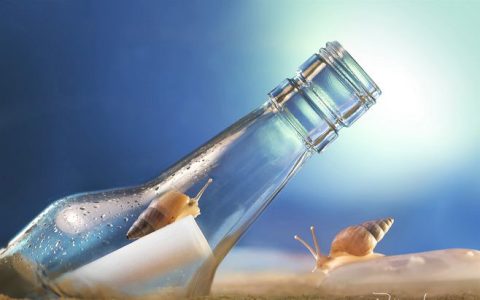 一个真正成功的网站背后的几个设计因素。