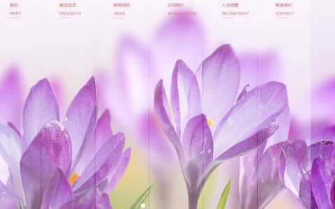 教你创建网站要掌握哪些要点。