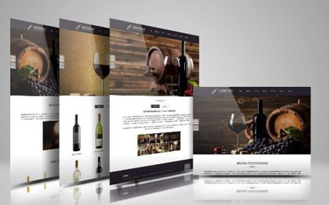 小编分享网站模版都有什么类型。