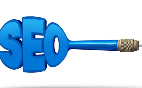 教你如何应对网站排名下降的问题。