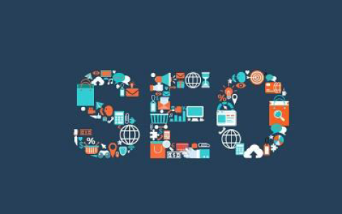 我来教你SEO多域名收录解决方案。