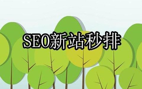 我来分享站内优化方案有哪些。